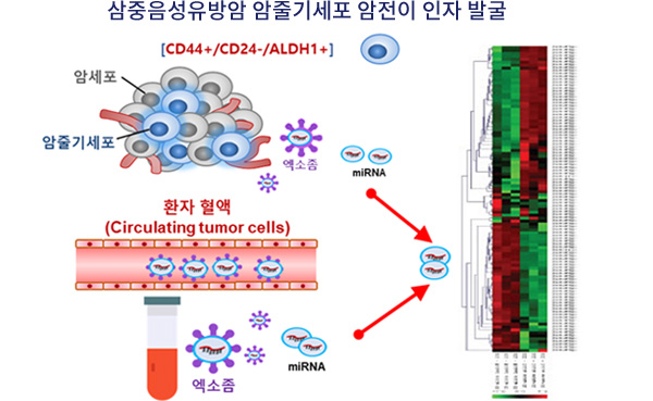 빅데이터 기반 신규표적 발굴 표