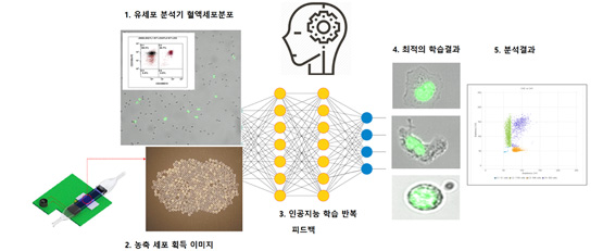 머신러닝 기반 병원체 진단 프로그램 개발 표