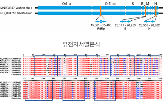 분자진단시약 타겟 발굴 시스템 개발​​ 표