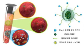 압타머 치매 바이오마커 개발 표